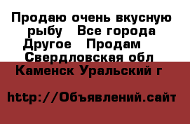 Продаю очень вкусную рыбу - Все города Другое » Продам   . Свердловская обл.,Каменск-Уральский г.